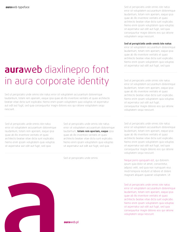 Aura.Web - identyfikacja systemu CMS